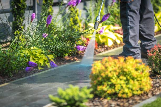 Reliable Terryville, NY Pressure Washing Services Solutions